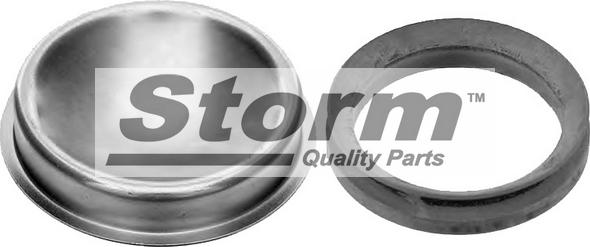 Storm F4719 - Ущільнене кільце, маточина колеса autozip.com.ua