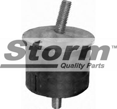 Storm F0502 - Подушка, підвіска двигуна autozip.com.ua