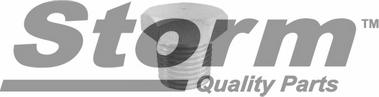 Storm F0890 - Різьбова пробка, масляний піддон autozip.com.ua