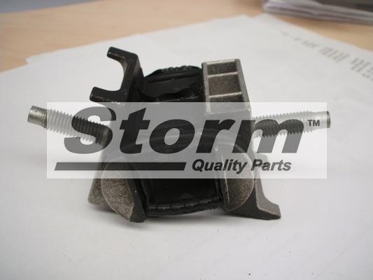 Storm F0856 - Подушка, підвіска двигуна autozip.com.ua