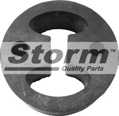 Storm F0262 - Кронштейн, втулка, система випуску autozip.com.ua