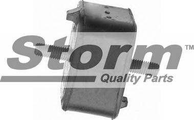 Storm F0766 - Подушка, підвіска двигуна autozip.com.ua