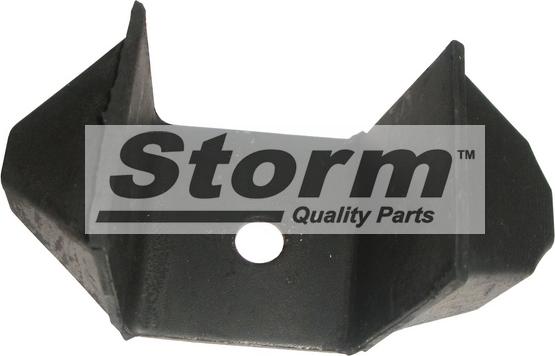 Storm F1900 - Подушка, підвіска двигуна autozip.com.ua