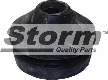 Storm F1538 - Подушка, підвіска двигуна autozip.com.ua