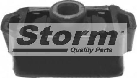 Storm F1667 - Подушка, підвіска двигуна autozip.com.ua
