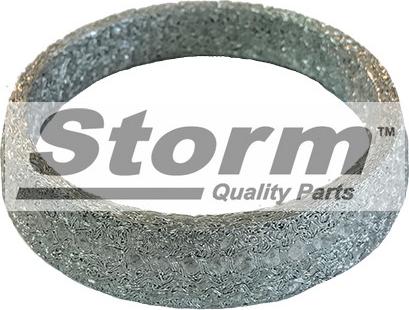 Storm F1607 - Прокладка, труба вихлопного газу autozip.com.ua