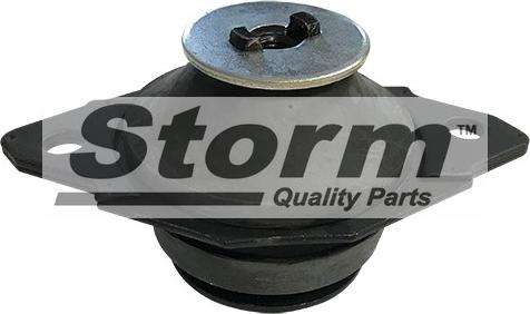 Storm F1685 - Подушка, підвіска двигуна autozip.com.ua