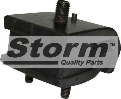 Storm F1053 - Подушка, підвіска двигуна autozip.com.ua