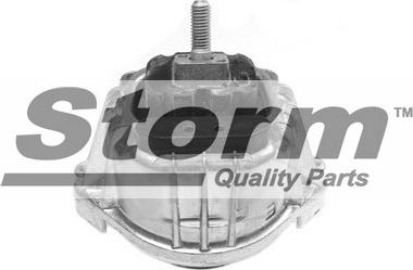 Storm F10631 - Подушка, підвіска двигуна autozip.com.ua