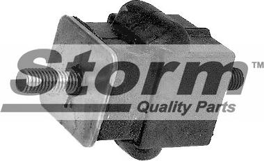 Storm F1036 - Подушка, підвіска двигуна autozip.com.ua