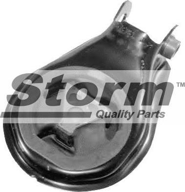Storm F10206 - Подушка, підвіска двигуна autozip.com.ua