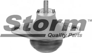 Storm F1071 - Подушка, підвіска двигуна autozip.com.ua