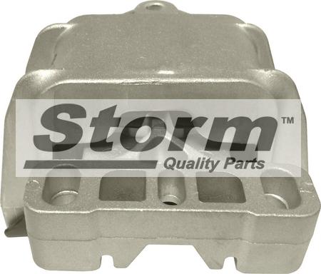 Storm F11859 - Подушка, підвіска двигуна autozip.com.ua