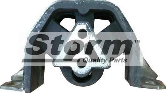 Storm F1843 - Подушка, підвіска двигуна autozip.com.ua