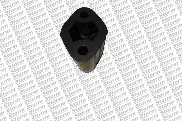 Storm F1309 - Кронштейн, втулка, система випуску autozip.com.ua