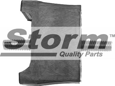 Storm F1320 - Подушка, підвіска двигуна autozip.com.ua