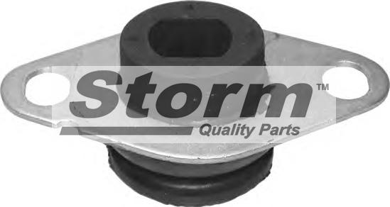 Storm F1202 - Подушка, підвіска двигуна autozip.com.ua