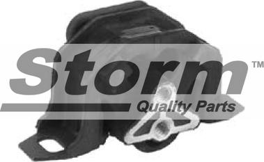 Storm F1754 - Подушка, підвіска двигуна autozip.com.ua