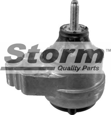 Storm F2496 - Подушка, підвіска двигуна autozip.com.ua