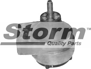 Storm F2498 - Подушка, підвіска двигуна autozip.com.ua