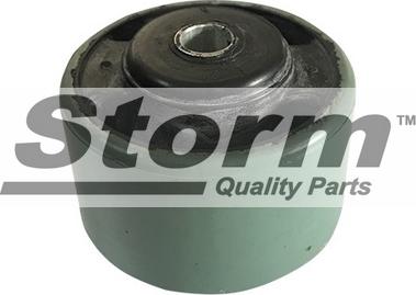 Storm F2460 - Подушка, підвіска двигуна autozip.com.ua