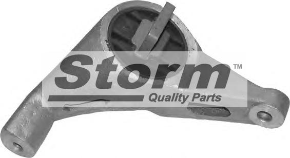 Storm F2486 - Подушка, підвіска двигуна autozip.com.ua