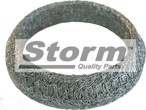 Storm F2553 - Прокладка, труба вихлопного газу autozip.com.ua