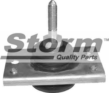 Storm F2508 - Подушка, підвіска двигуна autozip.com.ua