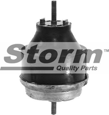 Storm F2520 - Подушка, підвіска двигуна autozip.com.ua