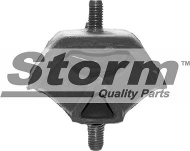 Storm F2576 - Подушка, підвіска двигуна autozip.com.ua