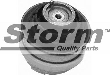 Storm F2633 - Подушка, підвіска двигуна autozip.com.ua