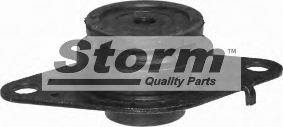 Storm F2000 - Подушка, підвіска двигуна autozip.com.ua