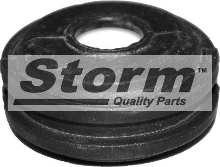 Storm F2199 - Втулка, шток вилки перемикання передач autozip.com.ua