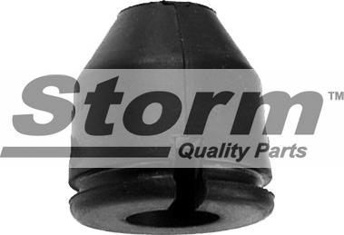 Storm F2844 - Пилозахисний комплект, амортизатор autozip.com.ua