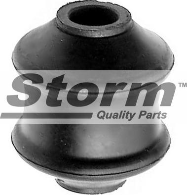 Storm F2842 - Сайлентблок, важіль підвіски колеса autozip.com.ua
