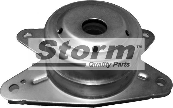 Storm F2801 - Подушка, підвіска двигуна autozip.com.ua