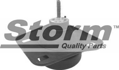 Storm F2291 - Подушка, підвіска двигуна autozip.com.ua