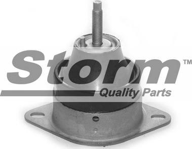 Storm F2225 - Подушка, підвіска двигуна autozip.com.ua