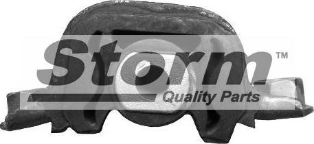 Storm F2276 - Подушка, підвіска двигуна autozip.com.ua
