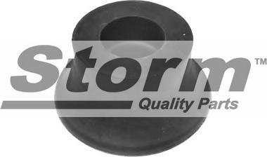 Storm F2758 - Подушка, підвіска двигуна autozip.com.ua