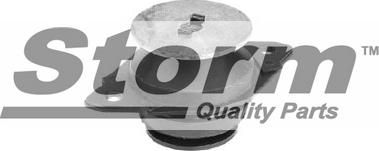 Storm F2764 - Подушка, підвіска двигуна autozip.com.ua