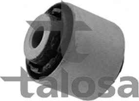 Talosa 64-09028 - Підвіска, корпус колісного підшипника autozip.com.ua