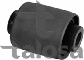 Talosa 64-13706 - Підвіска, корпус колісного підшипника autozip.com.ua