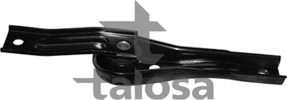 Talosa 61-11735 - Подушка, підвіска двигуна autozip.com.ua