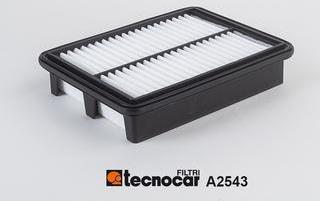 Tecnocar A2543 - Повітряний фільтр autozip.com.ua