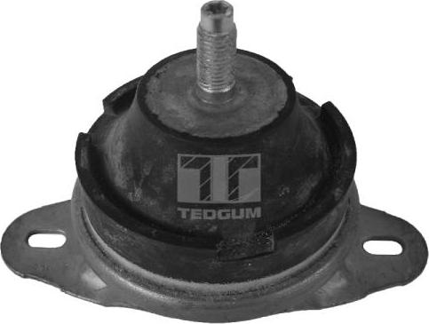 Tedgum 00514176 - Подушка, підвіска двигуна autozip.com.ua