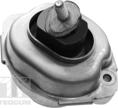 Tedgum 00088396 - Подушка, підвіска двигуна autozip.com.ua