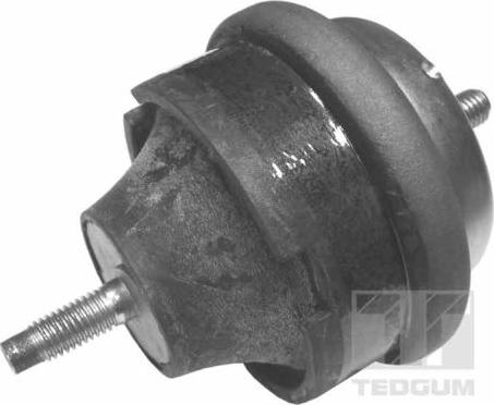Tedgum 00145015 - Подушка, підвіска двигуна autozip.com.ua