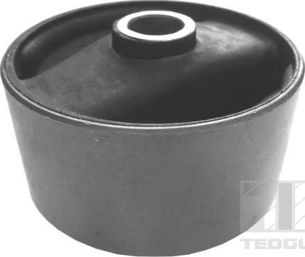 Tedgum 00166922 - Подушка, підвіска двигуна autozip.com.ua