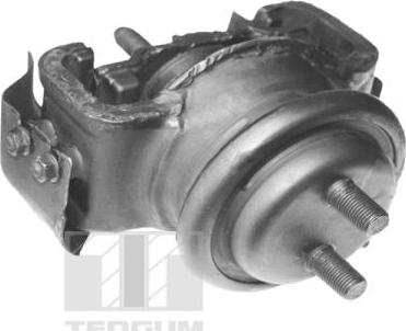 Tedgum 00395115 - Подушка, підвіска двигуна autozip.com.ua